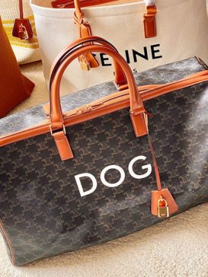 CELINE BAG