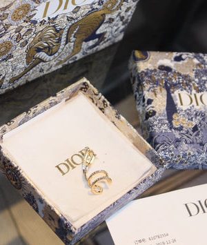 DIOR EARRINGS