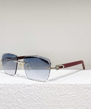 CARTIER SUNGLASSES