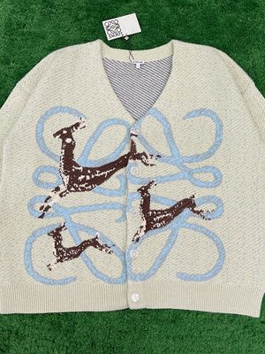 Loewe Sweater